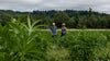 Five Jobs That Will Get You Closer to Nature